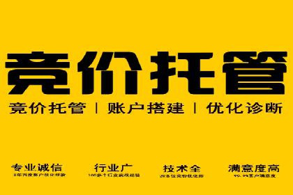 百度竞价排名：从失败到成功的转型案例